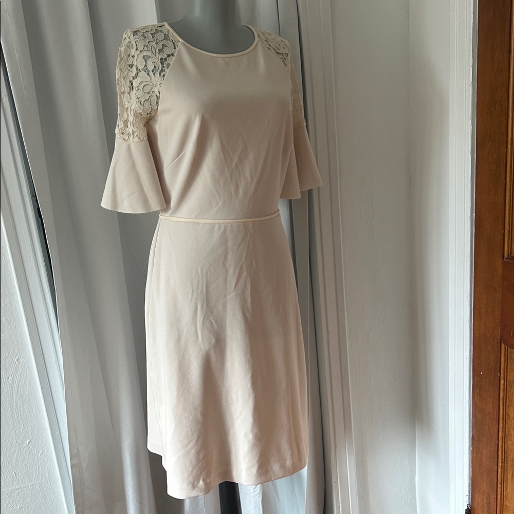NWOT Ralph Lauren Dress
